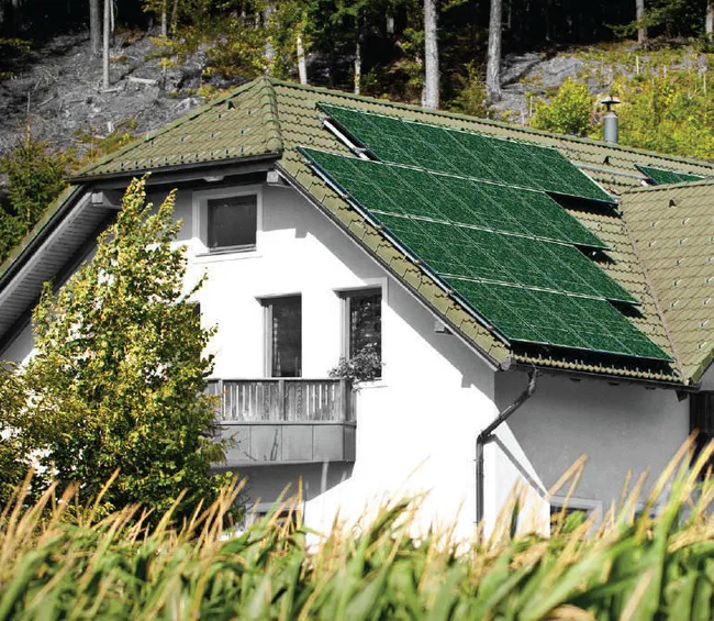 Pack de 10 Panneaux Solaires Vert Olive 300W – Image 3